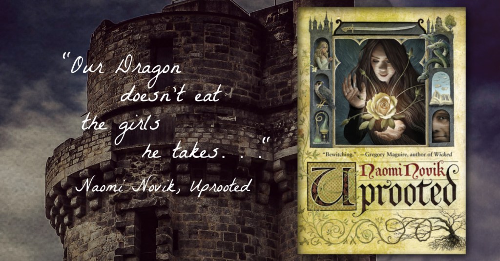 Uprooted by Naomi Novik Mini&nbsp;Review